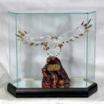  Collectible Glass Cases - Hexagon Wide